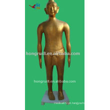 166cm Antique bronze acupuntura bronze